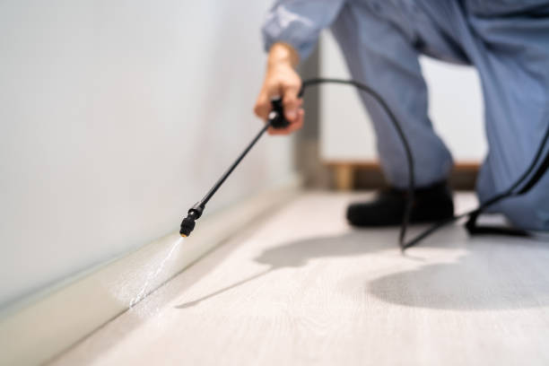Licensed Termite Control service in New Haven, MI - Nex Pest Control