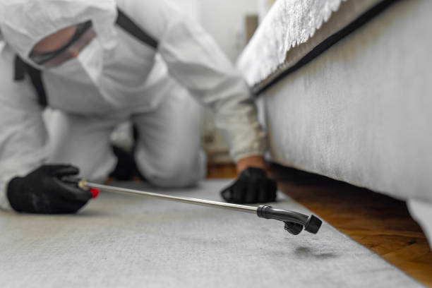 Professional Termite Control technician working in New Haven, MI