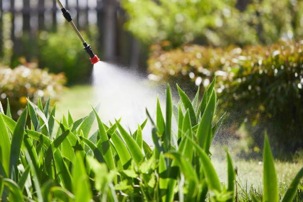 24/7 Emergency Termite Control experts in New Haven, MI