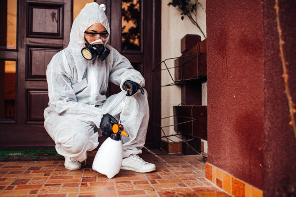 Reliable Termite Control contractor in New Haven, MI by Nex Pest Control