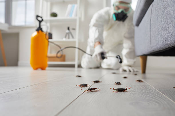 Affordable Termite Control solutions in New Haven, MI