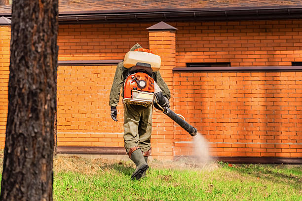 Top rated local Termite Control specialists in New Haven, MI